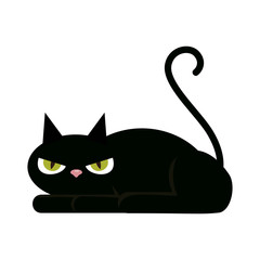  halloween black cat character