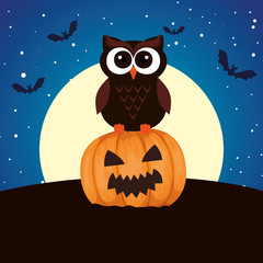 Poster - halloween owl with pumpkin on night