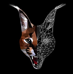 Wall Mural - Low poly triangular caracal (lynxlike cat) face on black background, symmetrical vector illustration EPS 10 isolated.  Polygonal style trendy modern logo design. Suitable for printing on a t-shirt.