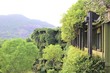 © サラリーマン - A hidden building in the forest with unique architecture