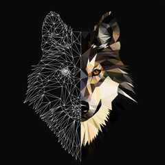 Naklejka na meble Wild wolf face on grey background, low poly triangular and wireframe vector illustration.  Polygonal style trendy modern logo design. Suitable for printing on a t-shirt.