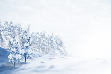 Frozen winter forest with snow covered trees.