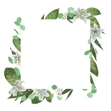 Vector Card Floral Design With Green Watercolor, Herbs, Leaves Eucalyptus, White Lily, Botanical Green, Decorative Frame, Square