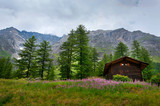Fototapeta Krajobraz - Typical wooden Home in alps Mountains, Italy