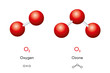Oxygen O2 and ozone O3 molecule models and chemical formulas. Dioxygen and trioxygen. Gas. Ball-and-stick models, geometric structures and structural formulas. Illustration on white background. Vector