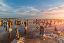 Wooden Weathered Posts In The Form Of A Gate For Salt Extraction In Pink Water Of Salt Lake With Blue Sky In Ukraine
