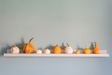 Happy Thanksgiving Background. Selection Of Various Pumpkins On White Shelf Against Pastel Turquoise Colored Wall. Seasonal Pumpkins Room Decoration. Modern Minimal Autumn Inspired Interior Design.