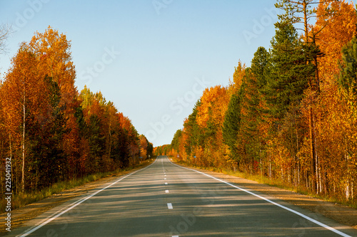 Plakat Asfaltowa droga z przerywanym rozdzielającym paskiem wzdłuż jesień lasu