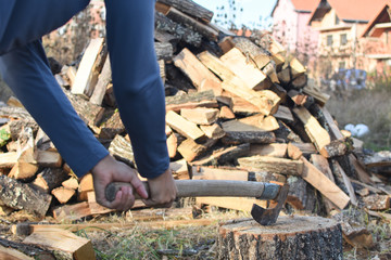 Wall Mural - Lumberjack chopping wood for winter, Young man chopping woods with old ax