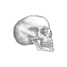 Hand Drawn Black White Monochrome Grunge Doodle Head Skull Halloween