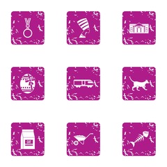 Poster - Pussycat icons set. Grunge set of 9 pussycat vector icons for web isolated on white background