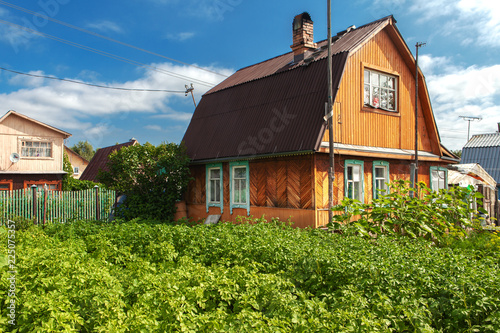 Plakat Drewniany dom z spadzistym dachem, ogród warzywny z ziemniakami