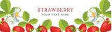 Fototapeta Dinusie - Vector strawberry horizontal banner with flowers. Vector