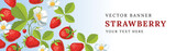 Fototapeta Dinusie - Vector strawberry horizontal banner with flowers. Vector