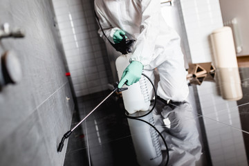 Exterminator in work wear spraying pesticide with sprayer.