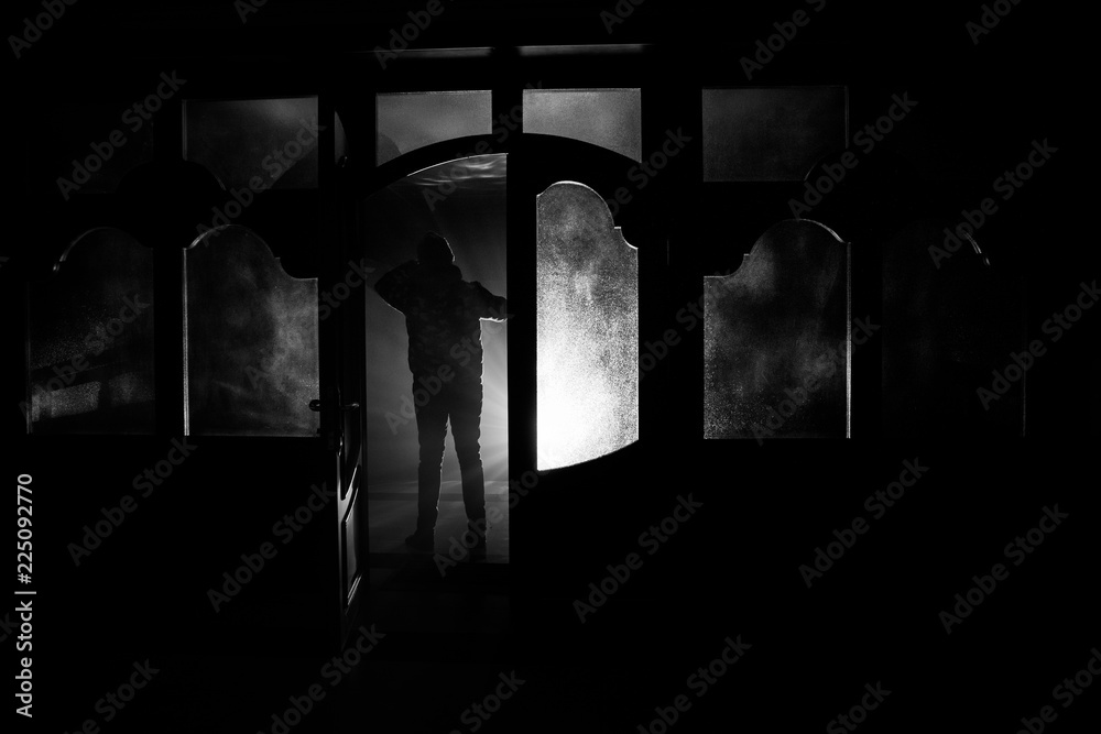 Seeing Shadow Figures