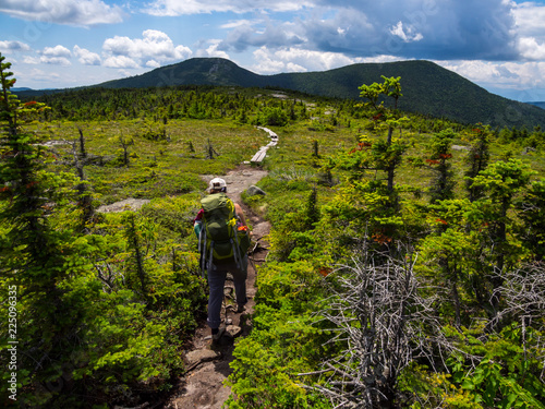 Fotografía Hiker on Appalachian Trail in Maine, Lush Mountain Vista