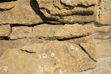 rock formations of brown color captured on the beach that look like canyons