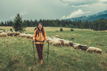 Wall Mural - Cheerful nice smiling woman using Nordic walking sticks while standing near herd of sheep in the mountains