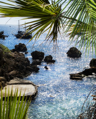 Wall Mural - sunny day at rocky beach with palm trees