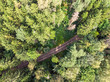 aerial top view of countryside asphalt road among green forest trees