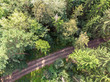 beautiful natural scene. deep forest and countryside road. aerial drone photography