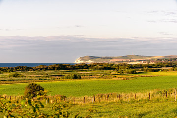 Typische Küstenlandschaft mit Kreidefelsen und Wiesen in der Normandie, Frankreich