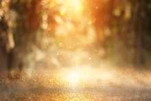 Blurred Abstract Photo Of Light Burst Among Trees And Glitter Golden Bokeh Lights.