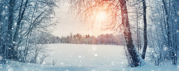 trees covered with snow on frosty evening. Beautiful winter panorama