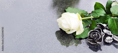Cuadros en Lienzo Grave with rose, Allerheiligen, Allerseelen, Grab, Rose, Panorama, Banner, heade