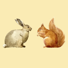 Watercolor Rabbit And Squirrel Vector Set