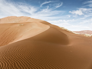 Wall Mural - Dunes of the Namib desert and dead trees in the Sossusvlei plato of the Namib Naukluft National Park