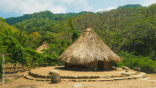 natural ancient reed houses of el pueblito Tableau sur Toile