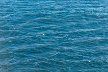 Sea Background, Water Texture - Water With Small Waves, Top View
