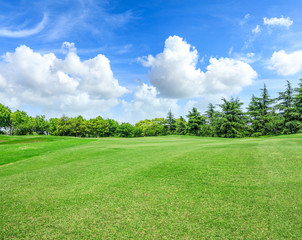 green square lawn and forest natural landscape in city park
