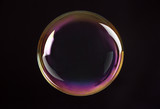 Fototapeta  - Beautiful translucent soap bubble on dark background