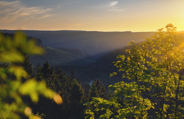 Wall Mural - View from a mountain top with sunset sun rays in the valley and colorful fresh green trees. Oker Dam (Okertalperre), mountain landscape in National Park Harz, Goslar, Bad Harzburg in Germany