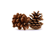 Two Pine Cones On White