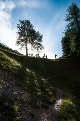 Canvas Print - large group of hikers in silhouette take a break under a tree with the sun shining through them