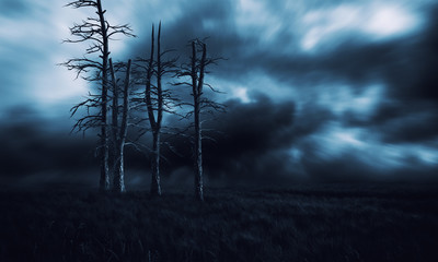 Wall Mural - Creepy Dead Trees Night background.