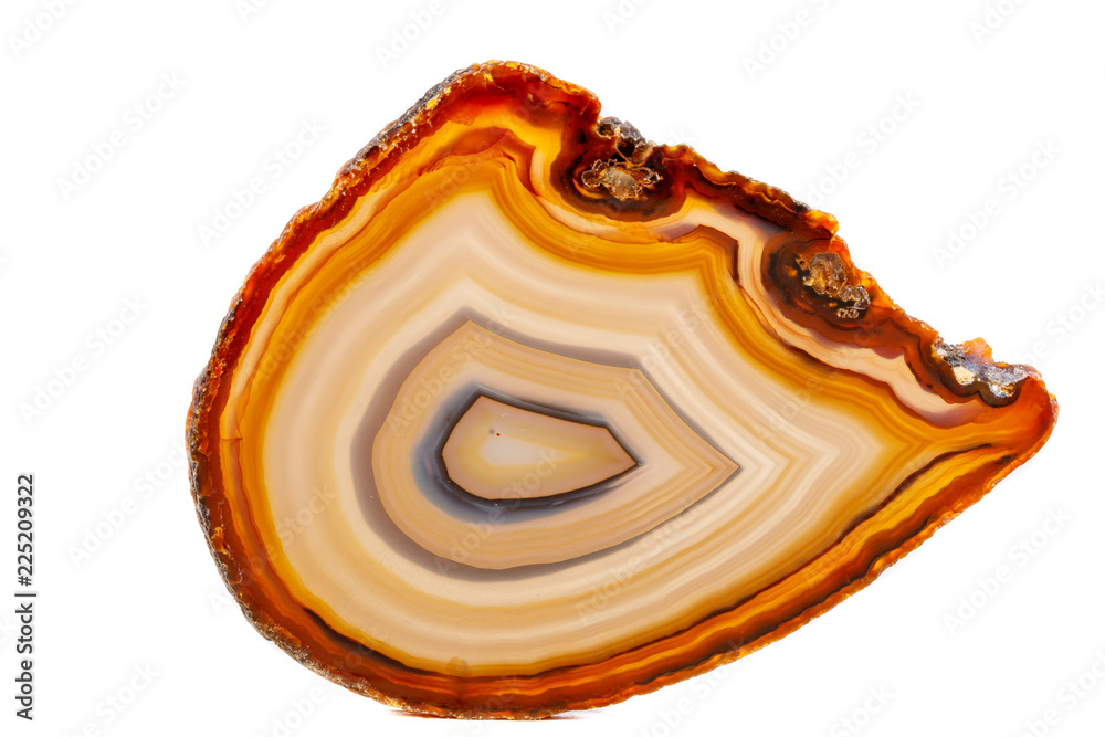 Macro mineral stone Yellow, brown Agate breed a white background - obrazy, fototapety, plakaty 