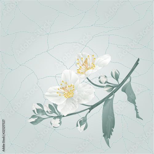 Jasmine Flower And Buds On A Blue Background Cracks In The Porcelain Place For Text Vintage Vector Illustration Editable Hand Draw Buy This Stock Vector And Explore Similar Vectors At Adobe