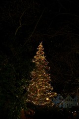 Christmas tree and decorations in the town. Slovakia