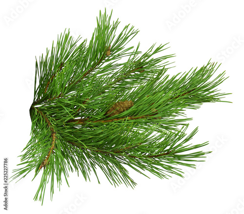 Fotomural Nature Symbol of Christmas and New Year isolated on white background