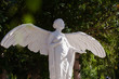 Marble Statue of a winged Angel on a Tombstone at a Berlin Cemetry
