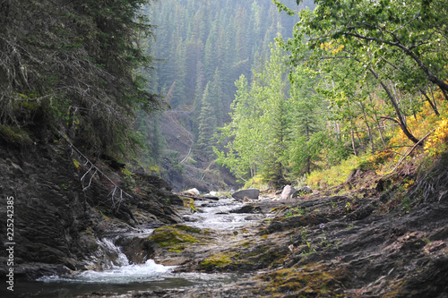 Fotografía Small Hidden Mountain Stream in Sheep River Provincial Park, Alberta