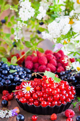 Fresh ripe summer berries - red currant in the foreground and black currant, blueberry, raspberry on background