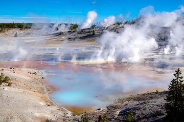 Wall Mural - Geyser