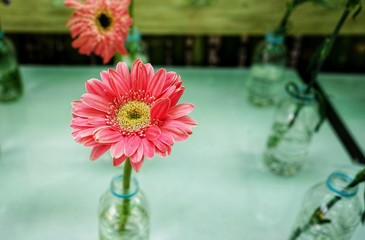 Poster - flower in a vase