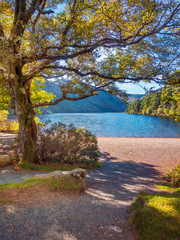 Wall Mural - Morning at Upper Lake in Glendalough, Wicklow Mountains - Ireland